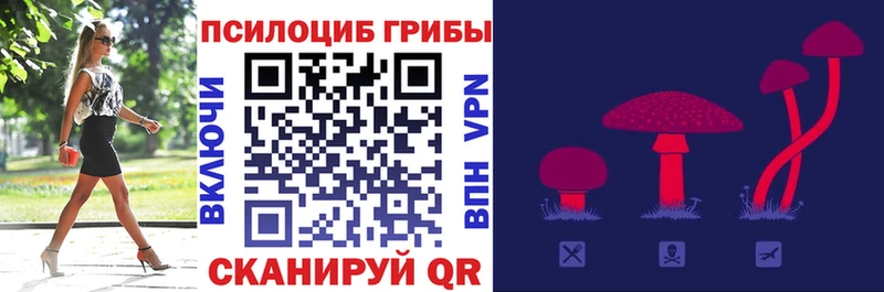 даркнет телеграм  Иноземцево  Галлюциногенные грибы GOLDEN TEACHER 